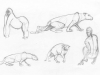 Animals&Playgym_i