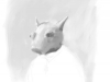 iPad_CharacterHead_600