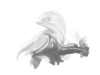 ipad_Animorph_600
